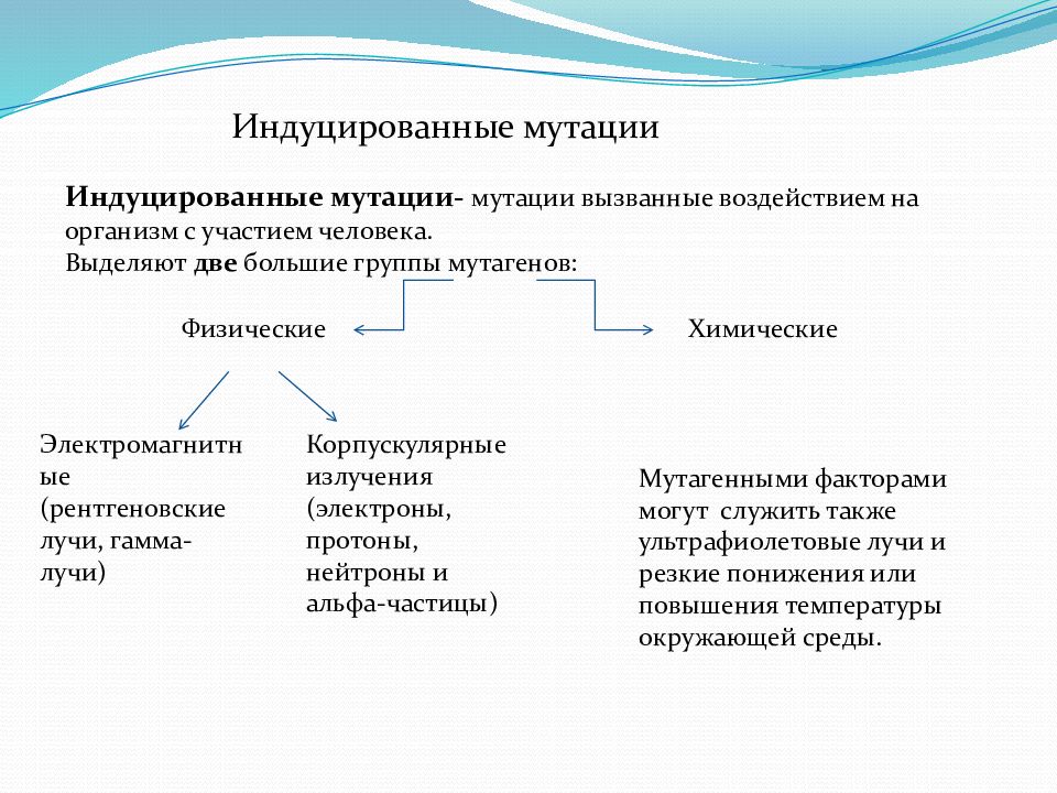 Спонтанная мутация. Спонтанный и индуцированный мутагенез. Факторы индуцированного мутагенеза. Индуцированные мутации. Инлуцированнве Муауии.