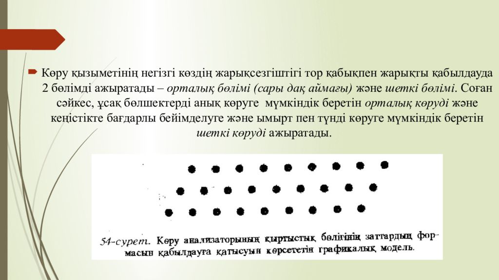 1 Тақырып Көрудің қызметтері мен оларды зерттеу әдістері 1 Тақырып Көрудің қызметтері мен оларды зерттеу әдістері