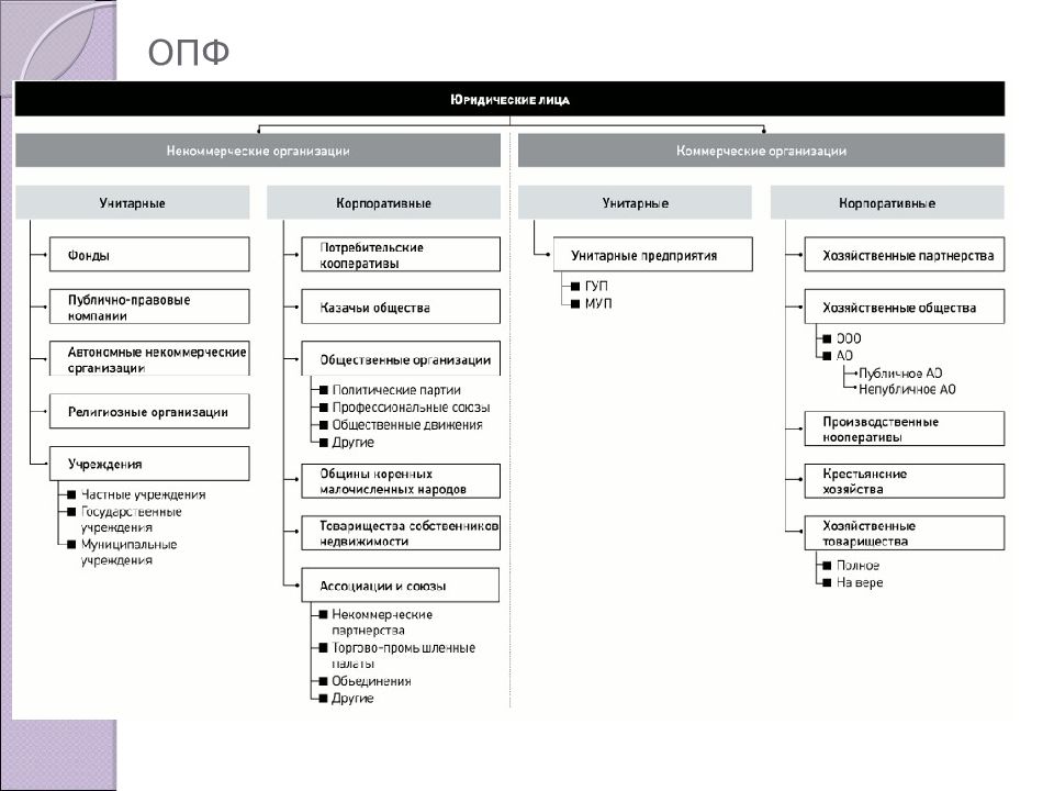 Организационно правовые формы юридических лиц схема