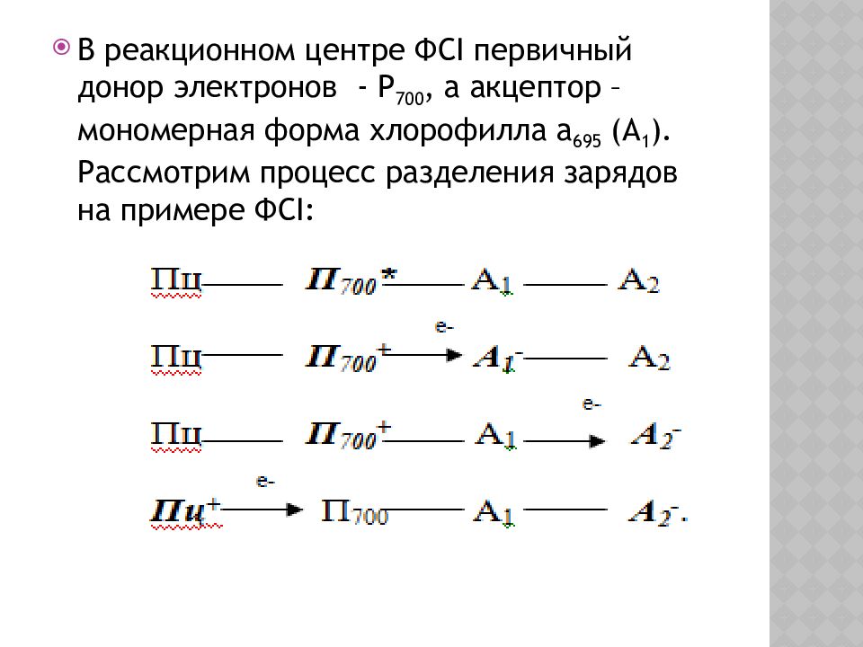 Фотосинтетические Пигменты Фотосинтетические Пигменты