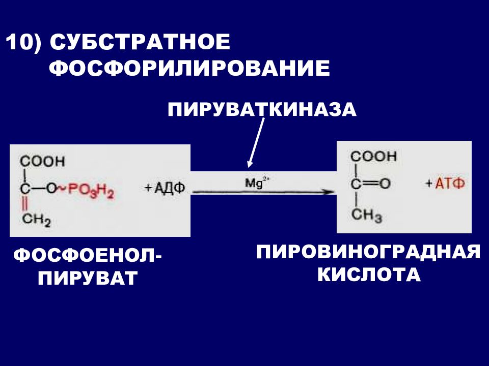 Субстратное фосфорилирование атф. Субстратное фосфорилирование пируваткиназа. Реакции субстратного фосфорилирования. Субстратное фосфорилирование фосфоенолпируват. Пируваткиназа гликолиз.