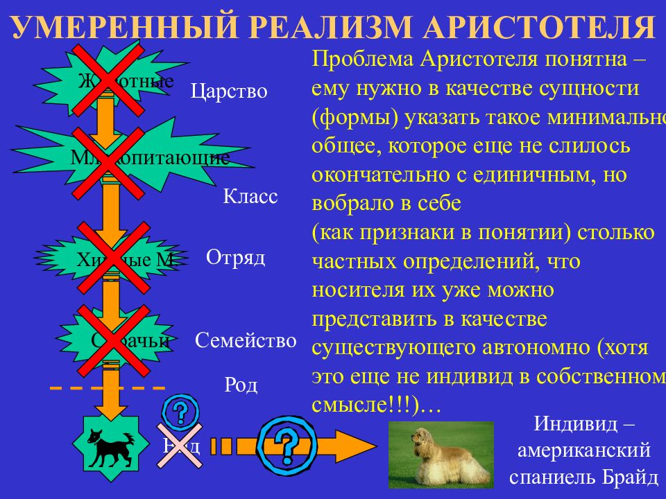 Философская система аристотеля. Умеренный реализм Аристотеля. Аристотель проблемы. Иерархия всего сущего у Аристотеля. Понятие сущности у Аристотеля.