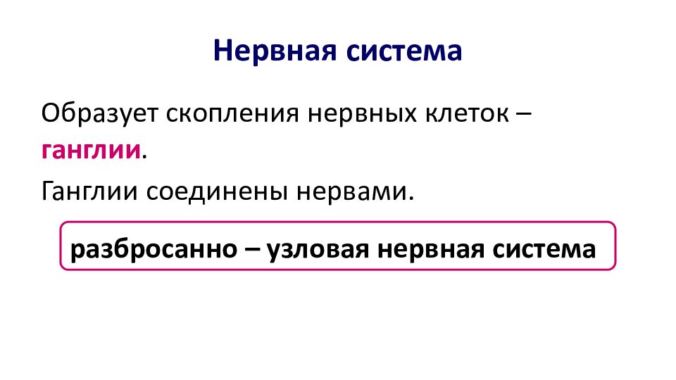 Нервная система