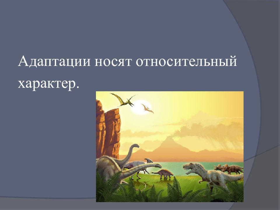 закон относительной независимости адаптации. относительный характер приспособленности. относительная адаптация. приспособления организмов. относительный характер приспособленности организмов.