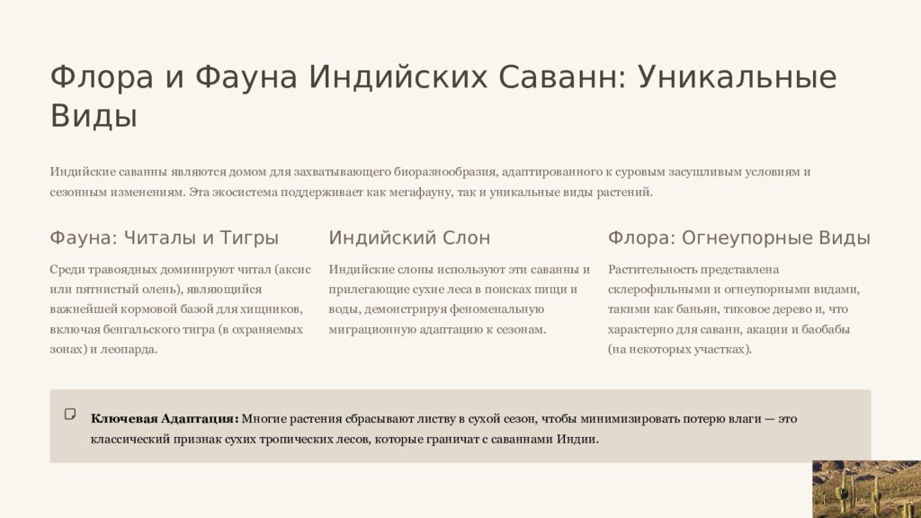 Саванны Индии и Мексики: Сравнительный Анализ Двух Тропических Экосистем Это