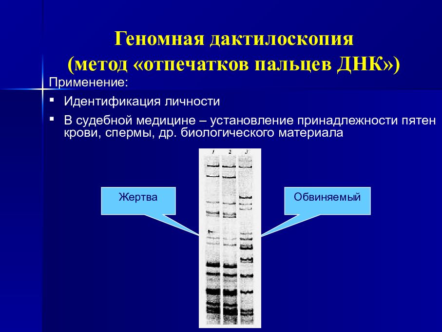 генетическая дактилоскопия. дактилоскопия генетика. геномная дактилоскопия. геномная дактилоскопия. генетическая дактилоскопия.