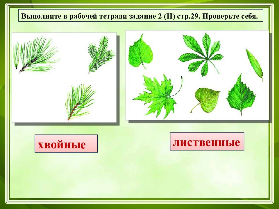 Общество окружающий мир 3 класс презентация