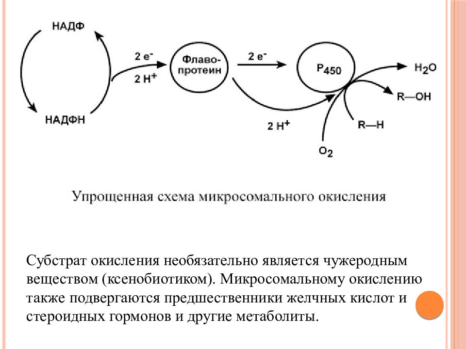 Схема микросомального окисления биохимия