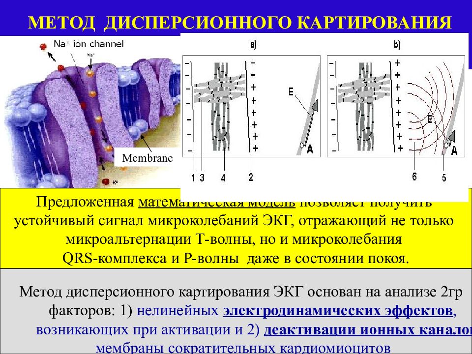 Решаемые задачи скрининговых систем схема