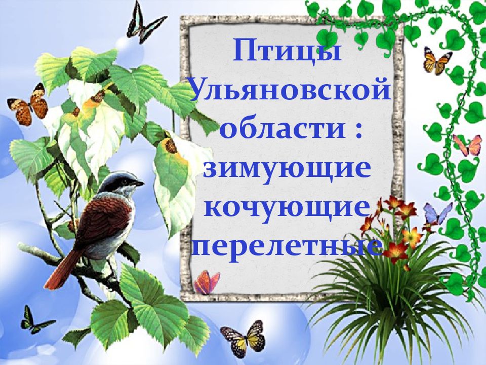 Птицы Ульяновской области : зимующие кочующие перелетные