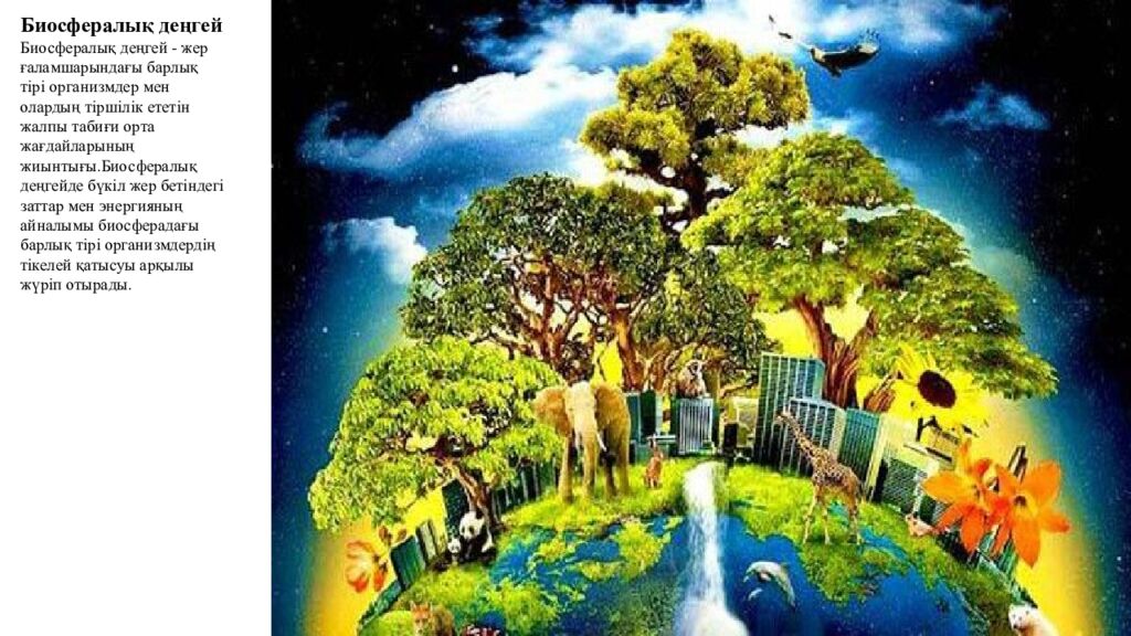 Сабақтың мақсаттары 5.4.2.2. Тірі ағзалардың құрылымдық деңгейлерін