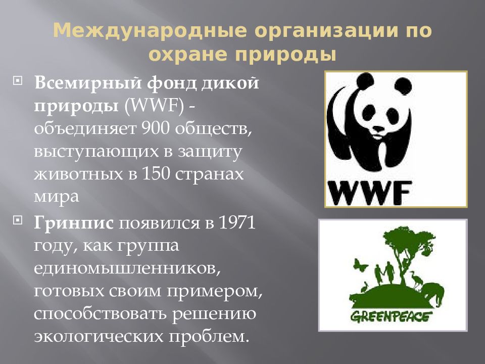 Презентация на тему wwf