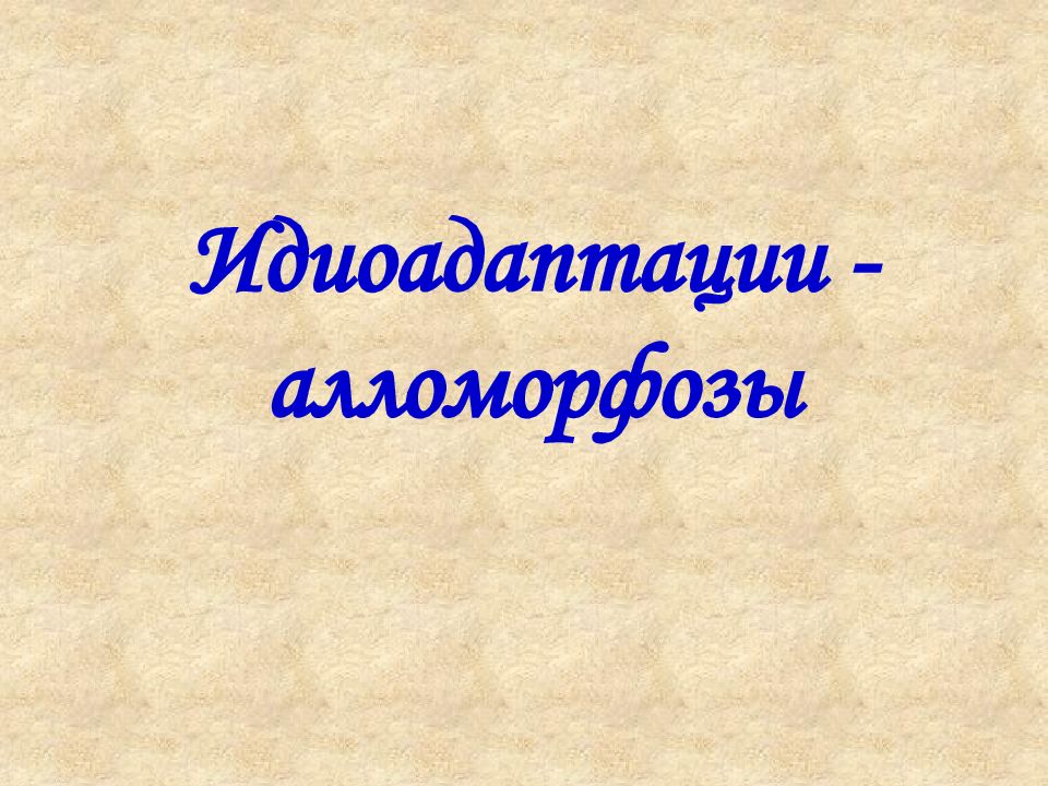 Ароморфоз картинки для презентации