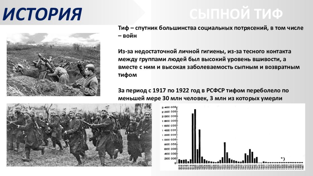 Презентация на тему сыпной тиф