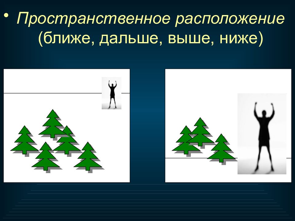 Пространственные размещения