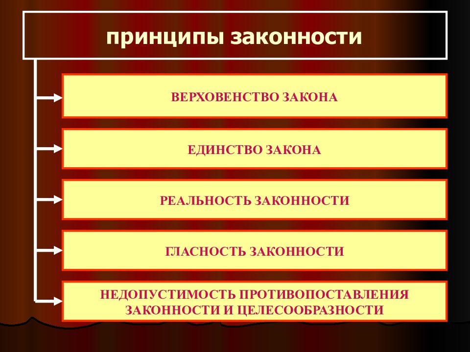 Назовите принципы законности и дайте обоснование каждого из них представьте их в виде схемы