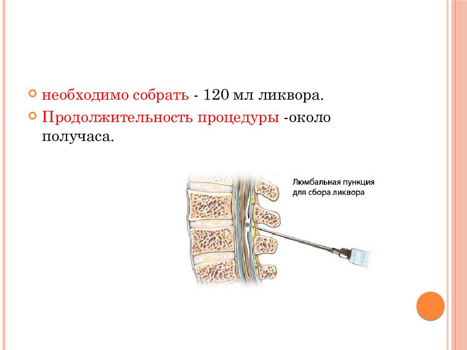 Люмбальная пункция презентация