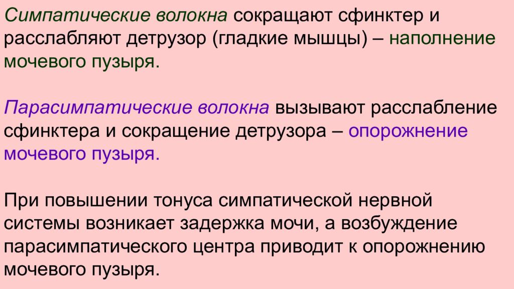 Нервная система пропедевтика презентация