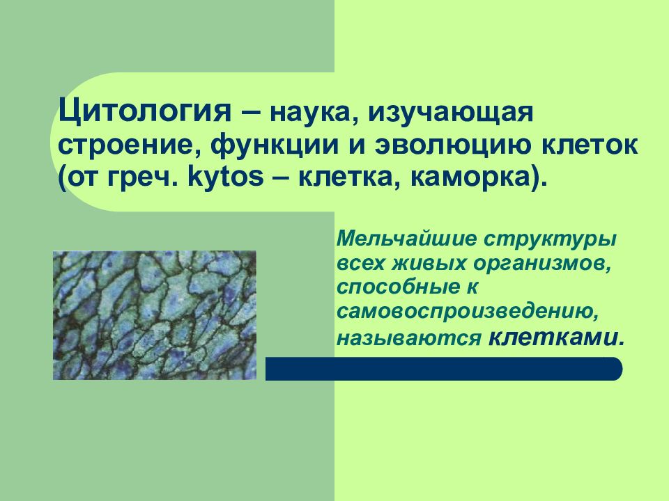 Наука изучающая клетку называется. Цитология это наука изучающая. Наука изучающие строение и функции. Презентация по биологии методы цитологии клеточная теория. История развития изучения строения клетки.