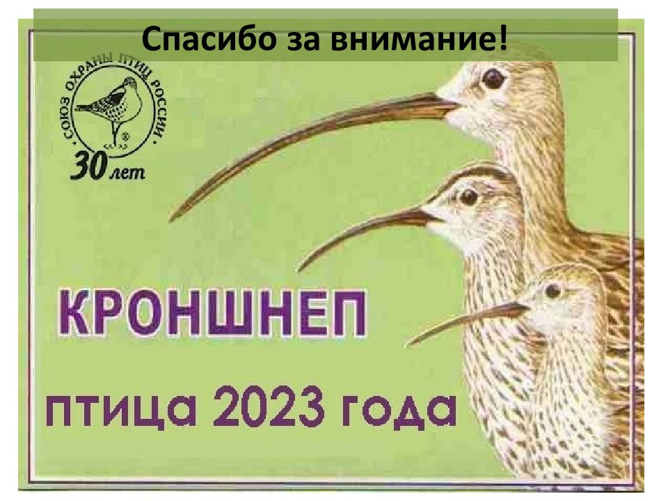 Птица 2023