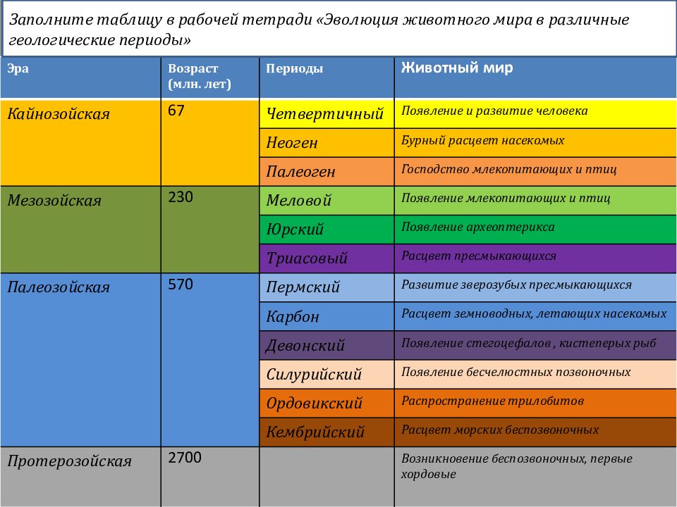 Схема развития этапов животных