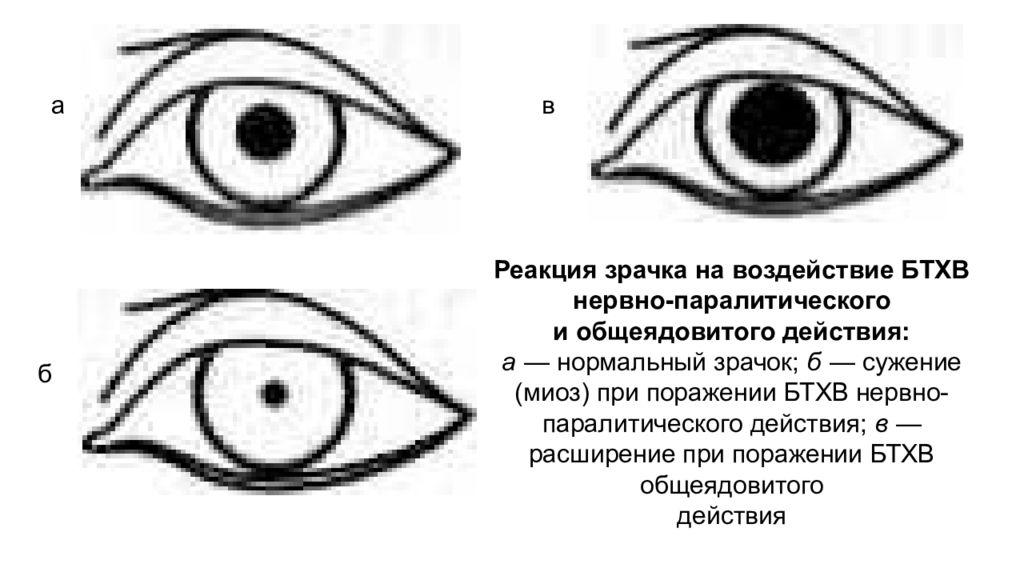 Дополните схему отражающую классификацию боевых токсичных химических веществ бтхв