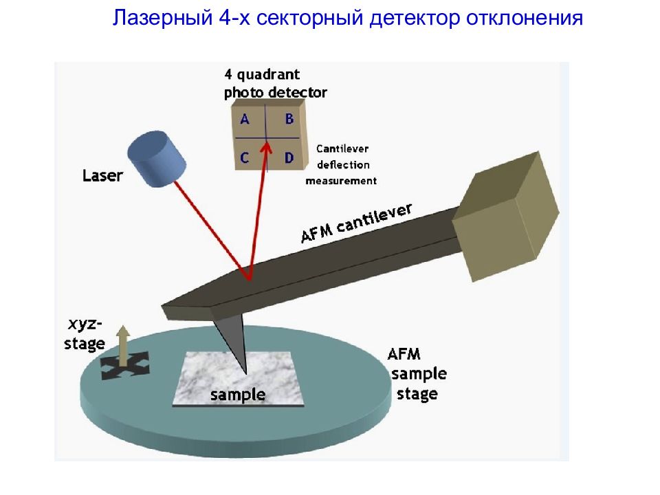 Схема атомно силового микроскопа