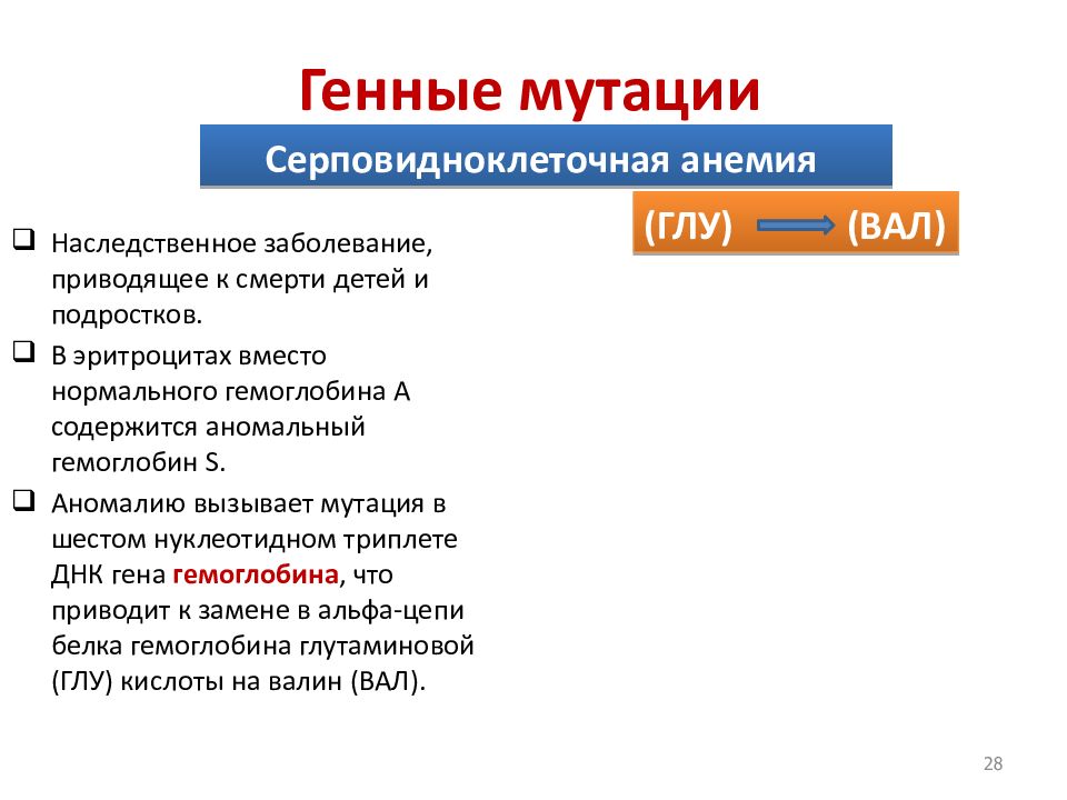 Описание генных мутаций. Классификация генных мутаций. Примеры генных мутаций у человека. Причины возникновения генных мутаций.