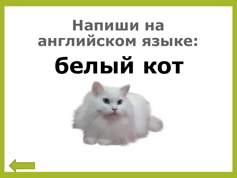 Напиши на английском языке: