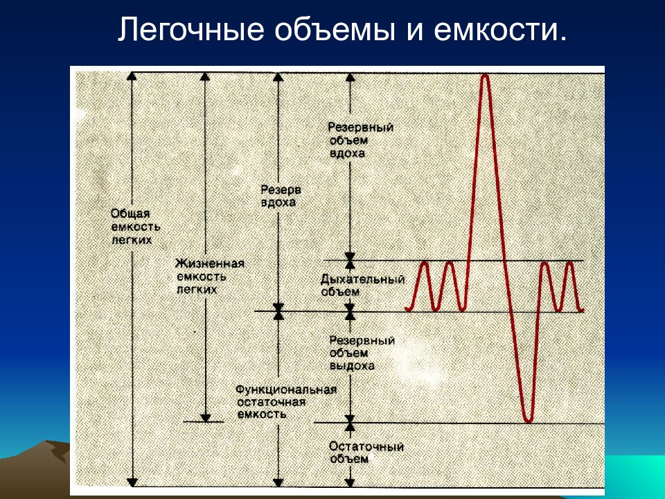 Схема легочных объемов