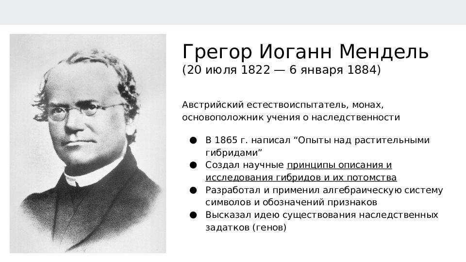 Как назвал г мендель. Грегор Мендель (1822—1884). Генетики Грегор Мендель. Мендель биолог. Г Мендель вклад в развитие генетики.