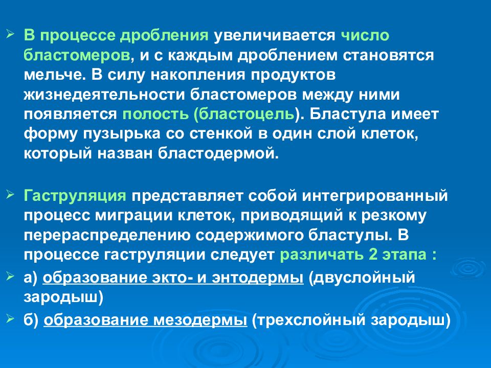 Процедура дробления. Процесс дробления описание происходящих процессов. Дробление описание процесса. Увеличение числа бластомеров. Чем характеризуется процесс дробления.