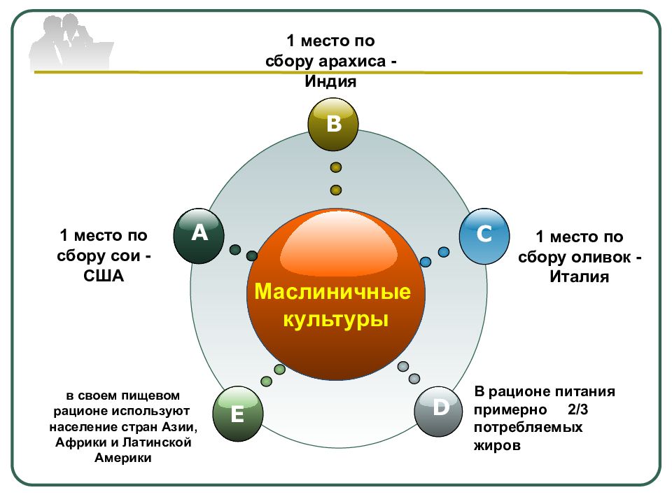 Сферы мирового хозяйства