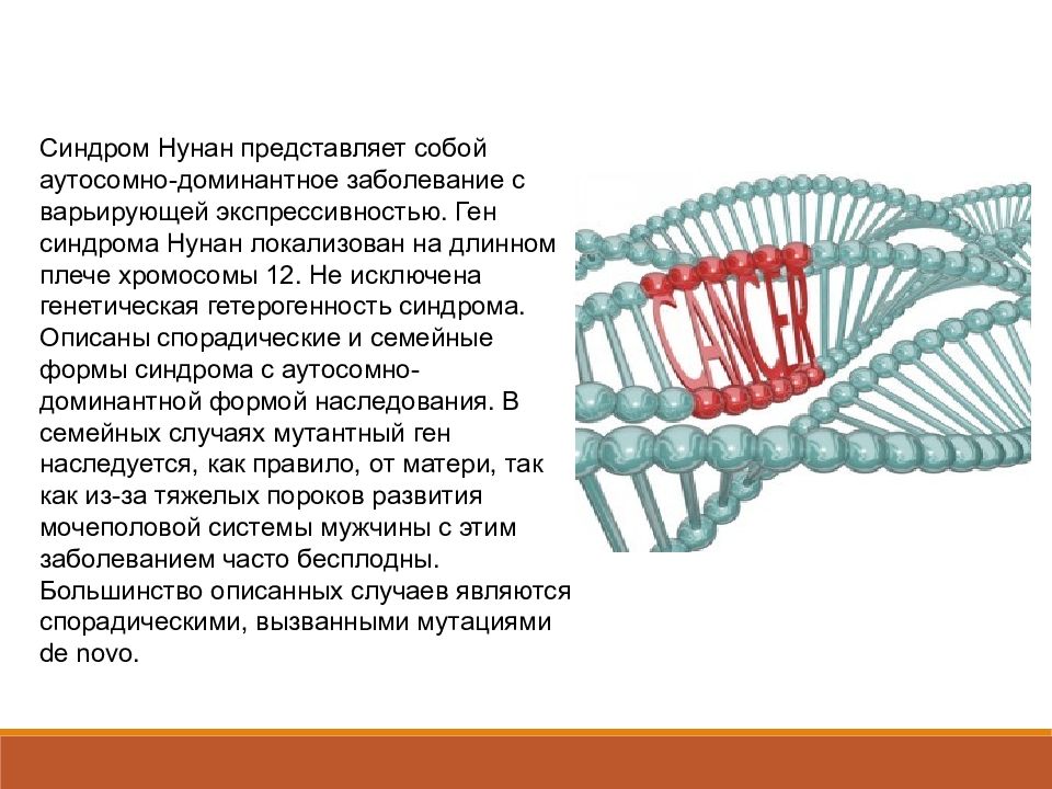 Синдром нунан презентация