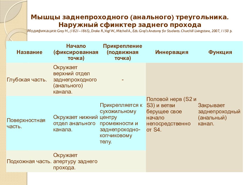 Фото волосатой женской промежности