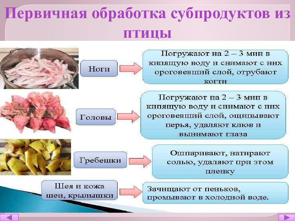 Обработка субпродуктов из птицы презентация