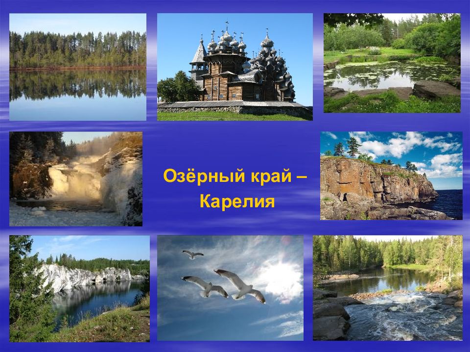 Карелия смешные картинки