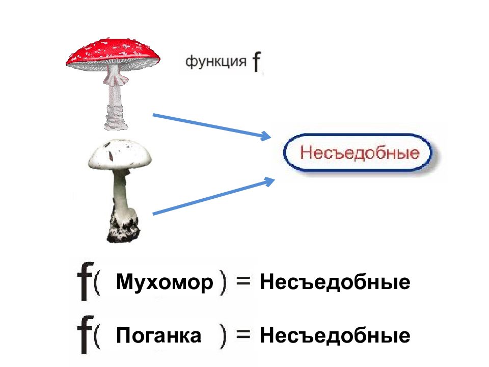 Седьмая функция. Седьмая функция