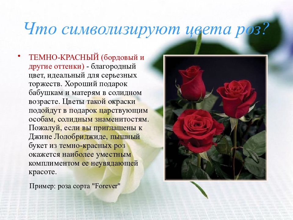Что означает розовое красное. Что символизирует цвет роз. Розы для презентации. Красные розы на языке цветов.