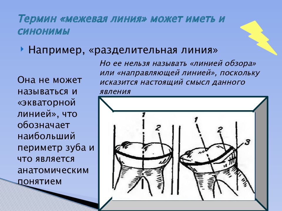 Линия термин. Межевая линия. Межевая линия как определить. Параллелометрия Межевая линия. Определение Межевой линии.