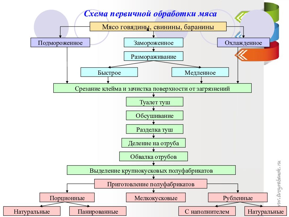 Процессы первичной обработки сырья. Схема обработки мяса говядины. Схема приготовления крупнокусковых мясных полуфабрикатов. Технологическая схема обработки мяса. Схема первичной обработки мяса.