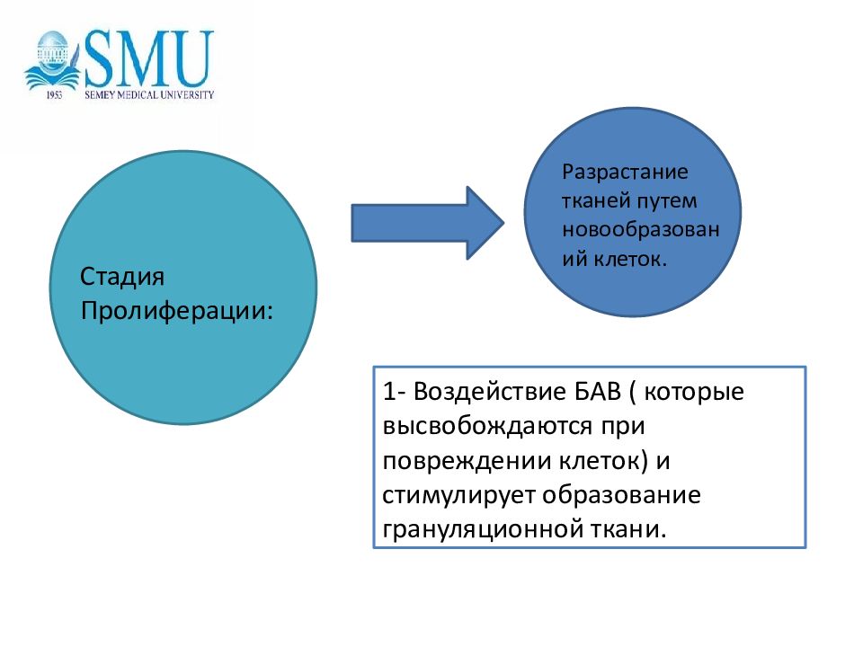 Этиология патогенез пульпита презентация