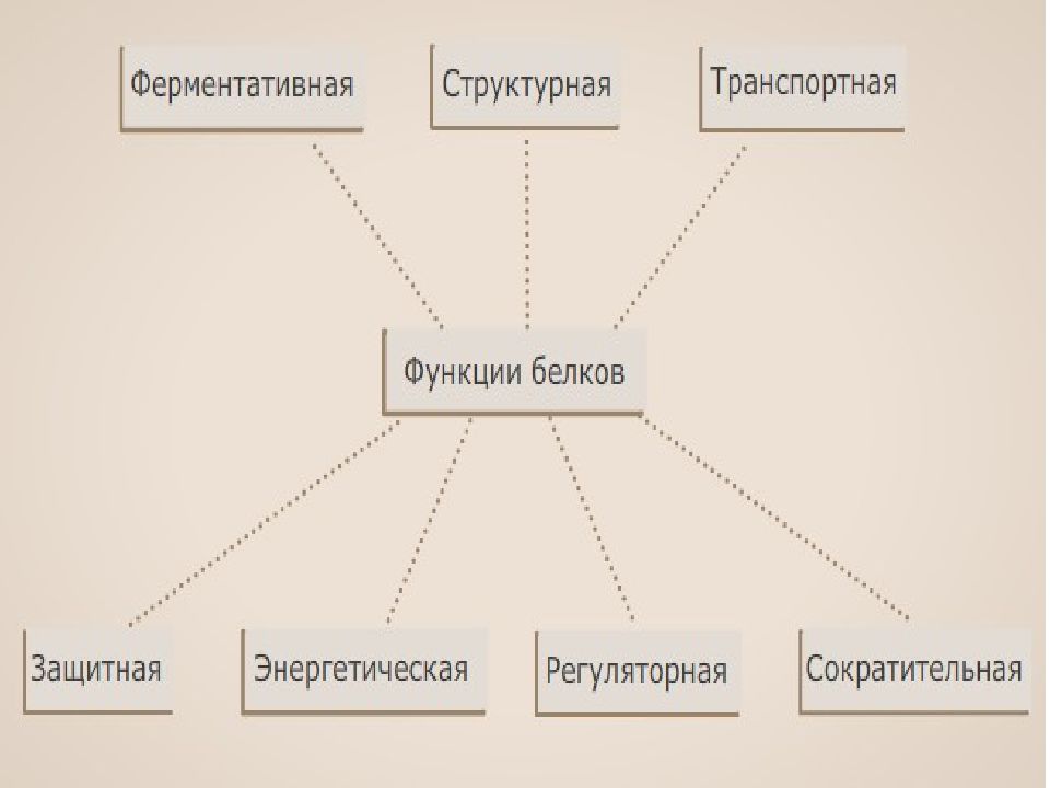 Технологическая карта биология наука о живой природе