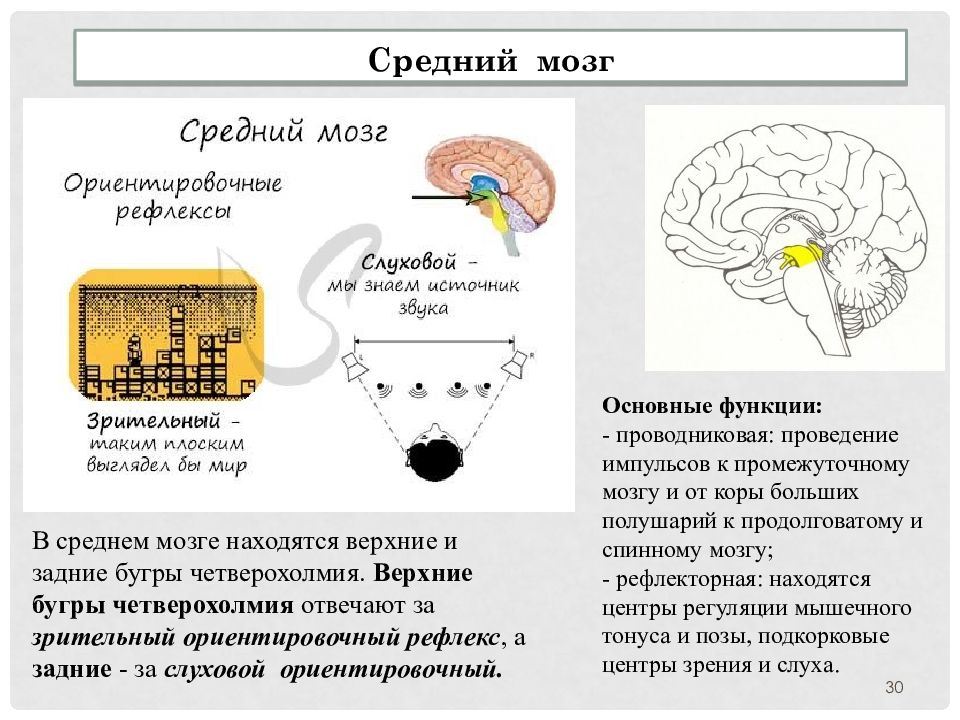 Внд подготовка к егэ презентация