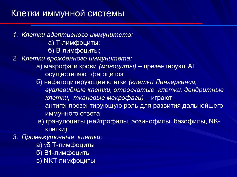 Иммунная система гистология презентация