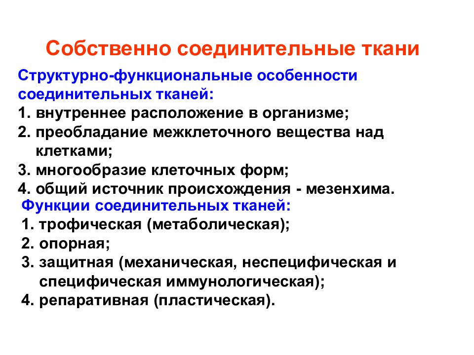 Соединительная ткань характерные особенности. Функции собственно соединительной ткани. Основные морфологические признаки соединительной ткани. Соединительная ткань функции и особенности. Особенности строения соединительной ткани.