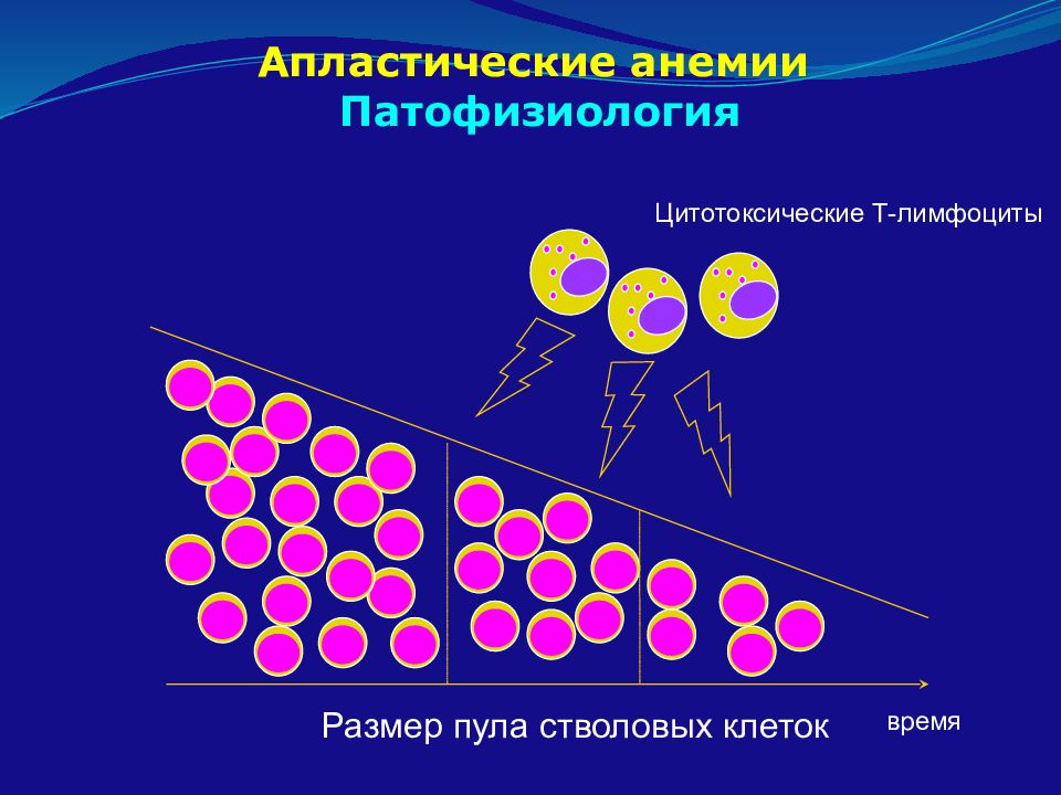 Апластическая анемия рисунок