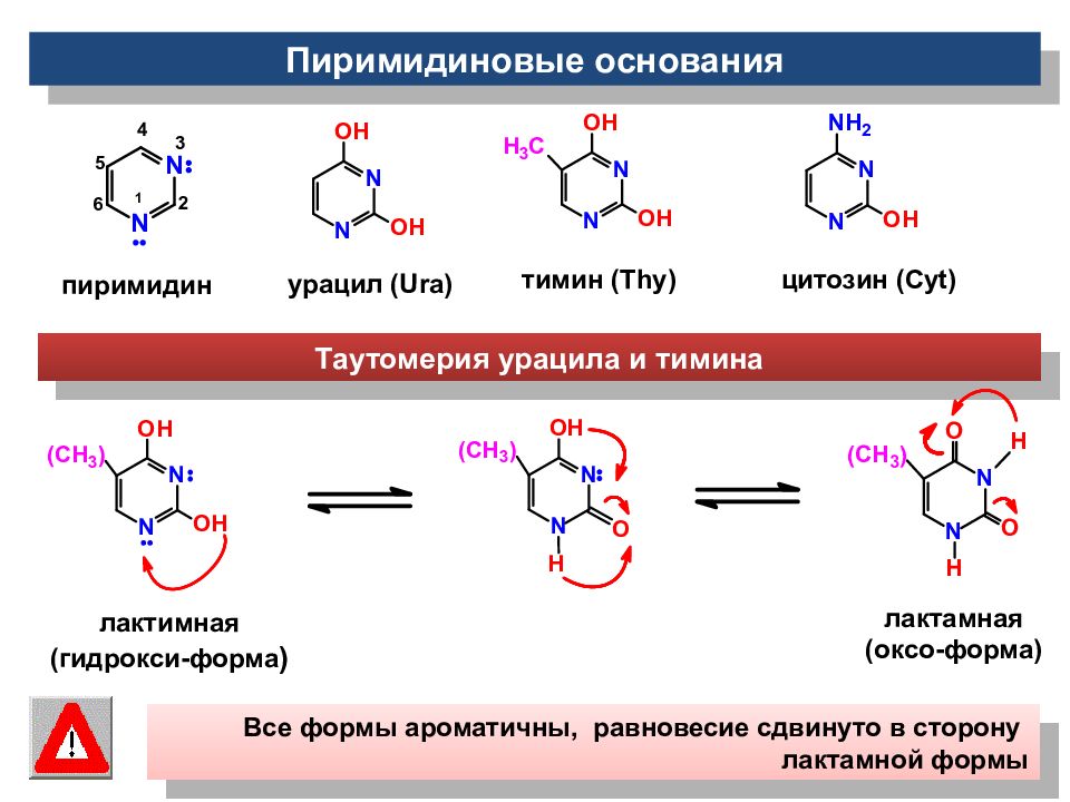 Форма основания. Пиримидиновые азотистые основания и их таутомерные формы.. Цитозин лактамная и лактимная форма. Гидрокси-форма цитозин. Таутомерия урацила.