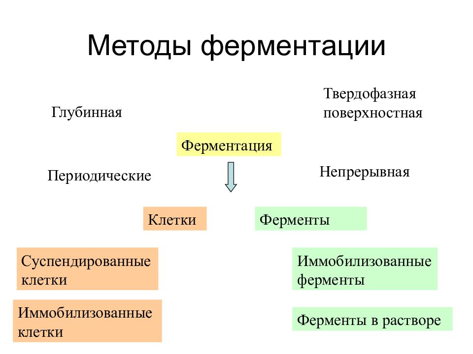 Биотехнологическая схема получения ферментов