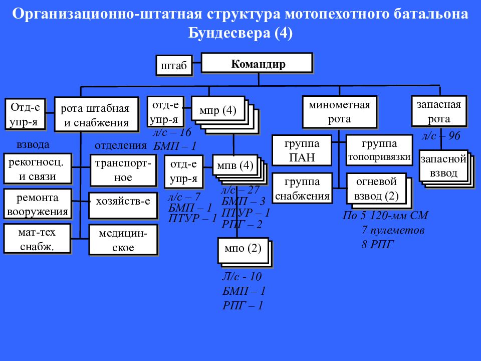 Организационно штатная структура образец